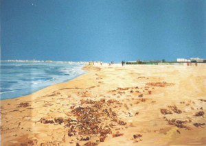 Francesco Borrelli  spiaggia di tirrenia