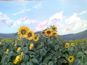 Bianca Manis Girasoli 2