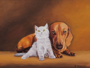 Francesco Borrelli Cane e gatto