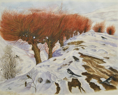 Paesaggio innevato con alberi rossastri e piccoli uccelli sul terreno e sui rami.