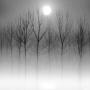 Immagine fotografica artistica in bianco e nero realizzata da Paolo Belloni