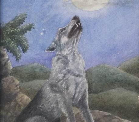 Lupo seduto sulle rocce che ulula alla luna piena, con volto-lupo suggerito nel disco lunare e paesaggio notturno.