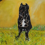 Cane corso possente in posa su sfondo giallo uniforme, ritratto figurativo.