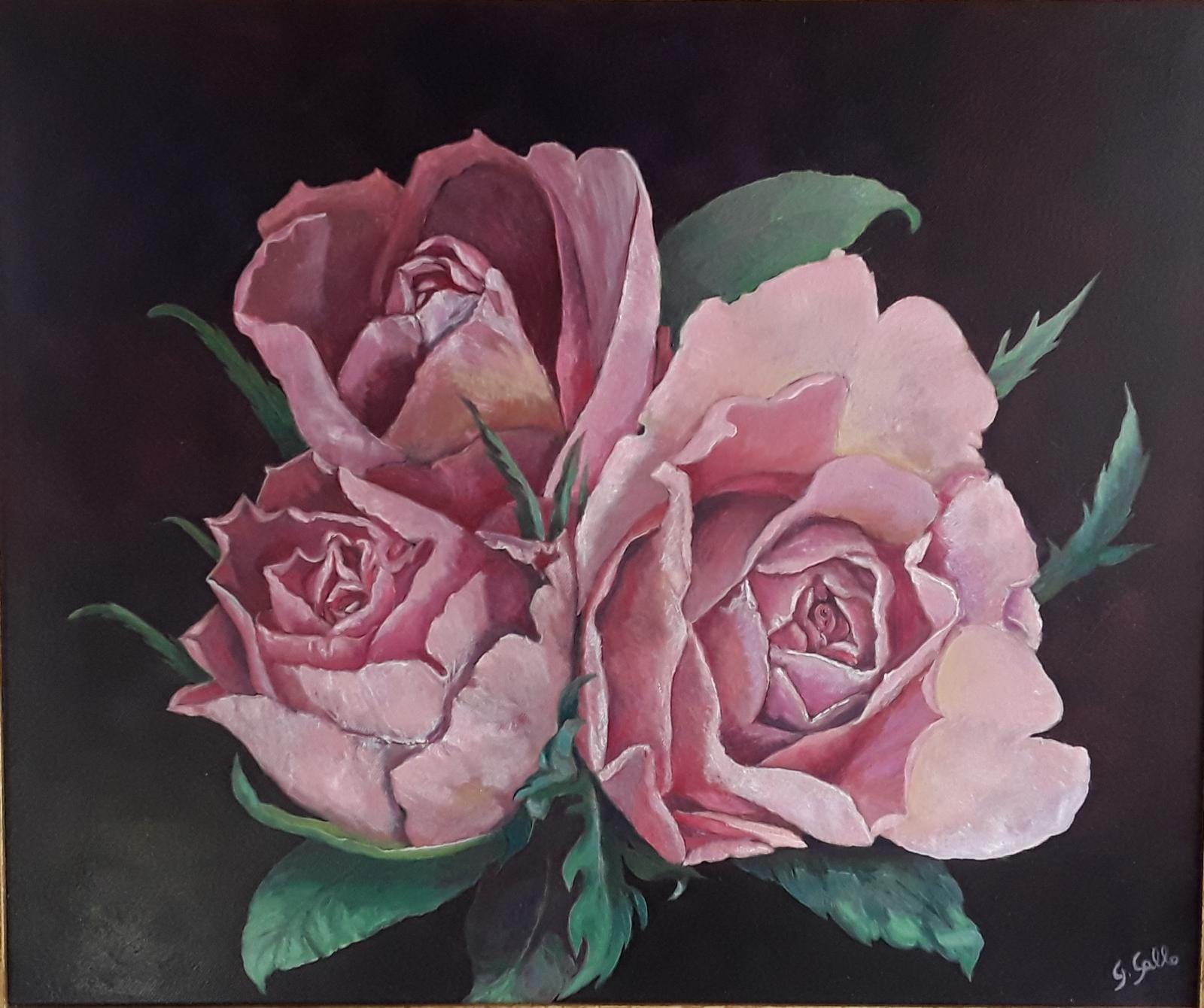 Dipinto figurativo di Giuseppina Gallo intitolato "Tre rose". Tre grandi rose rosa antico in piena fioritura sono disposte al centro della composizione con alcune foglie verdi, emergendo da uno sfondo scuro e uniforme. In basso a destra è visibile la firma dell'artista G. Gallo.