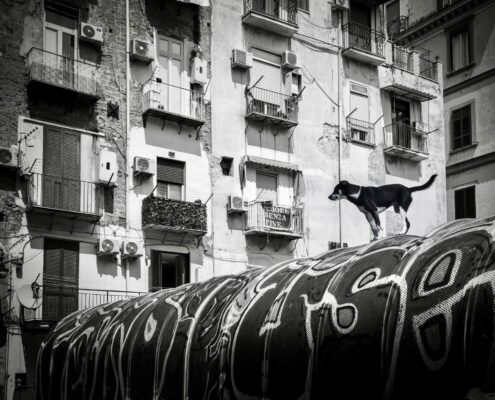 Fotografia in bianco e nero dedicata alla vita quotidiana nei vicoli di Napoli, tra tradizioni, incontri e identità urbana.