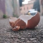 Guscio d'uovo rotto sull'asfalto ripreso da vicino, con strada urbana e edifici sfocati sullo sfondo.