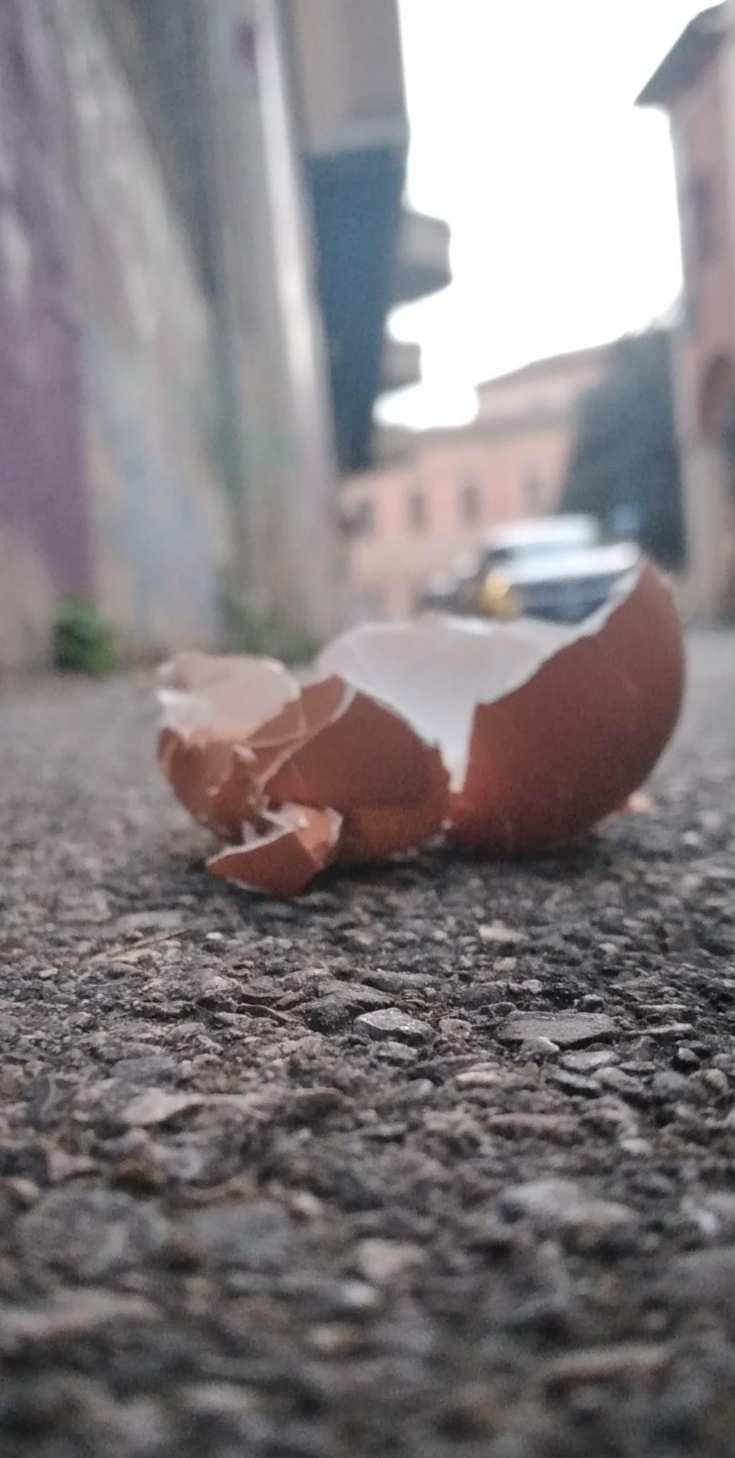 Guscio d'uovo rotto sull'asfalto ripreso da vicino, con strada urbana e edifici sfocati sullo sfondo.