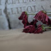Fotografia di Rebecca Levi raffigurante fiori rossi appassiti deposti accanto a una lapide con iscrizioni sfocate sullo sfondo.