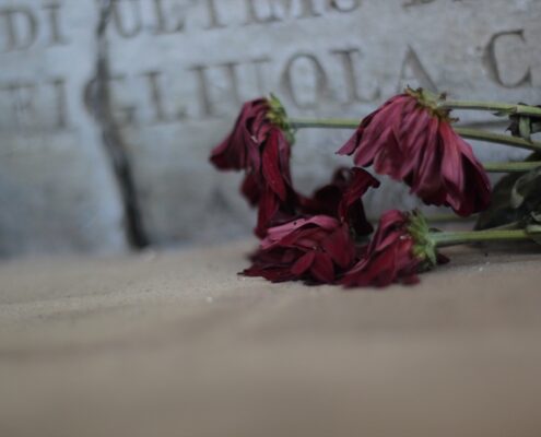 Fotografia di Rebecca Levi raffigurante fiori rossi appassiti deposti accanto a una lapide con iscrizioni sfocate sullo sfondo.
